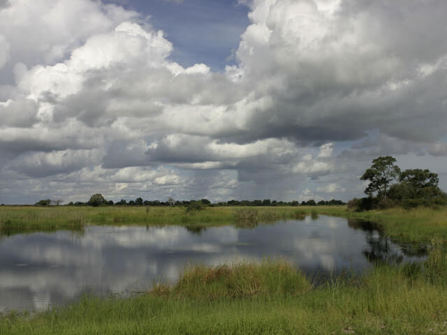 wet land